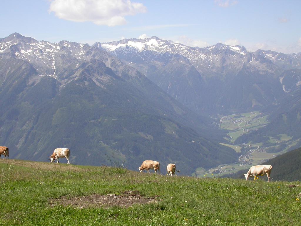 Pension Kristall Bramberg am Wildkogel Luaran gambar