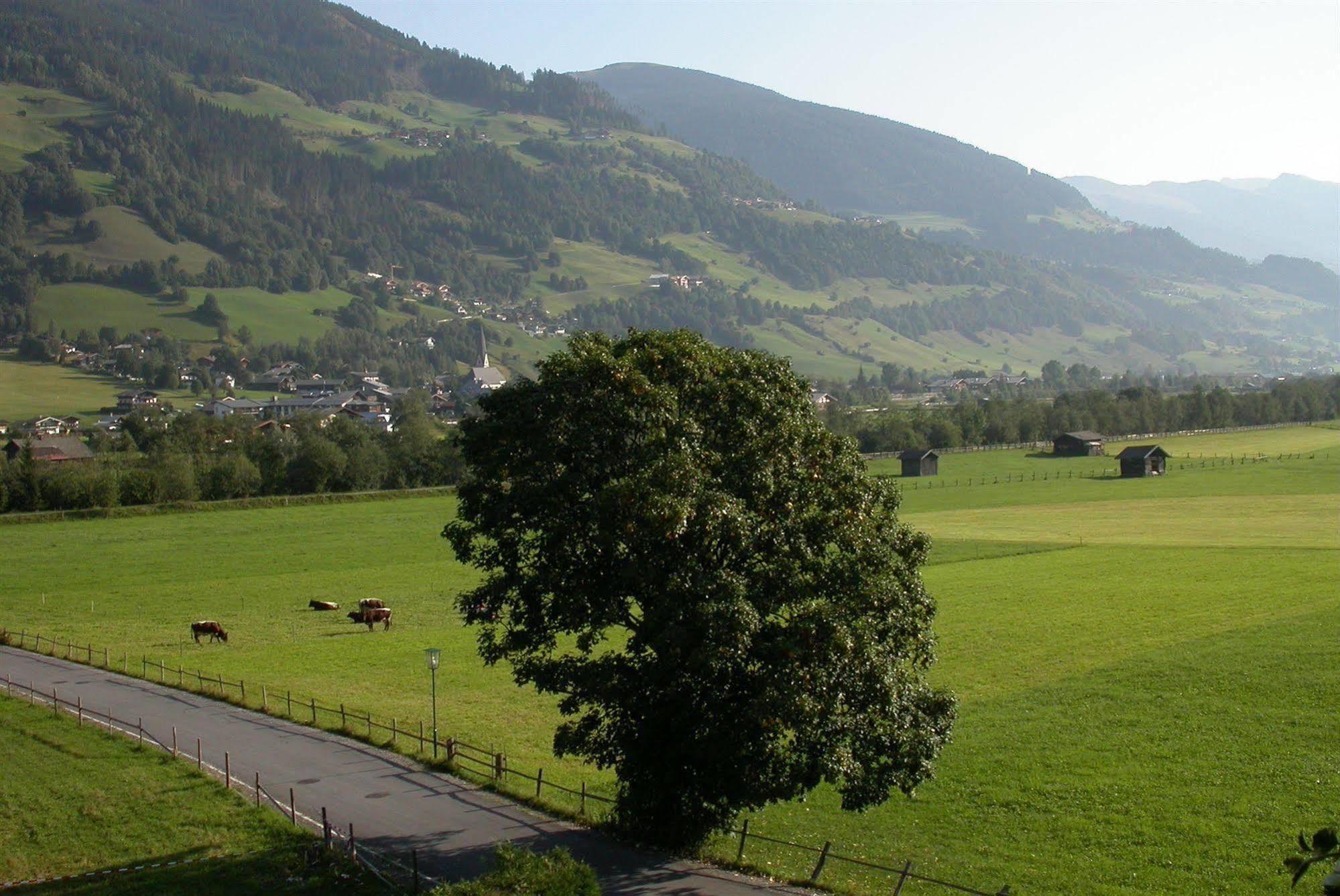Pension Kristall Bramberg am Wildkogel Luaran gambar